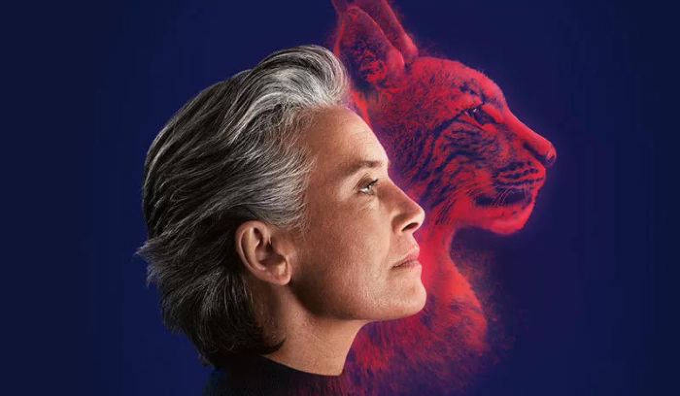 Audífonos Alpha de Bernafon en Talavera - Audición Talavera