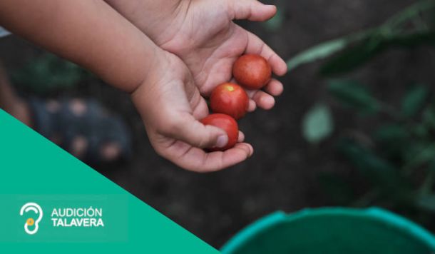 Accesorios audífonos Talavera