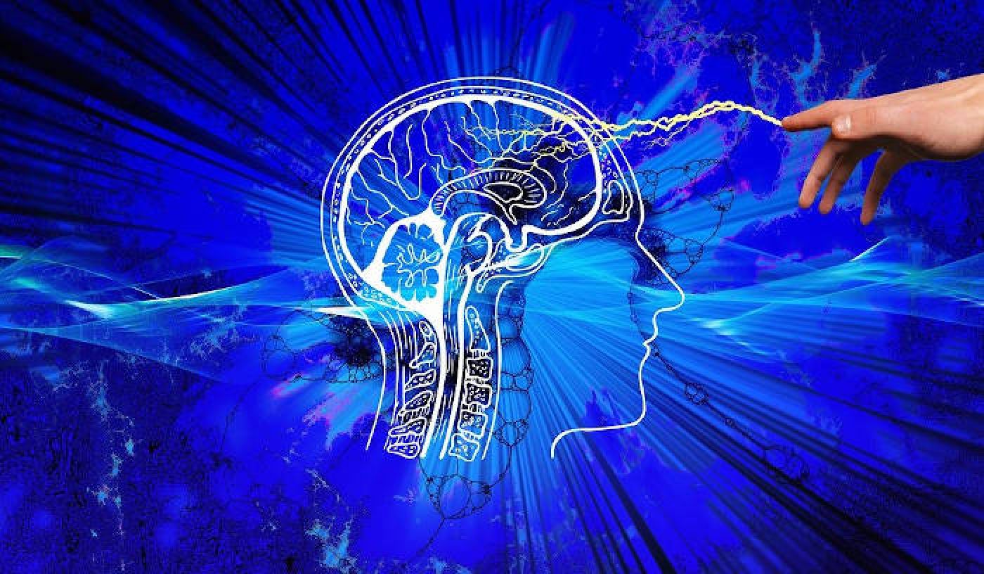 Entrenamiento cerebro