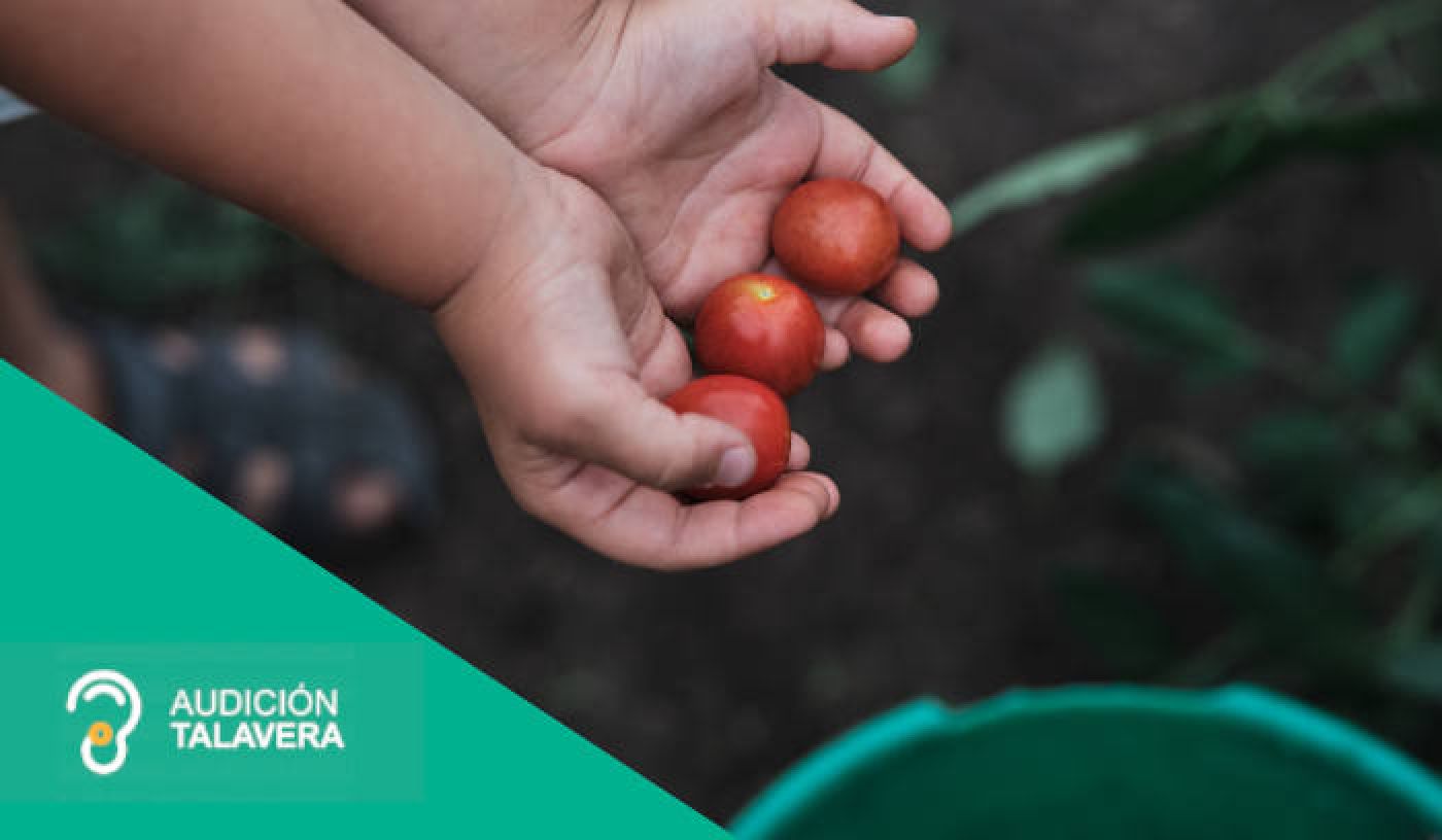 Accesorios audífonos Talavera