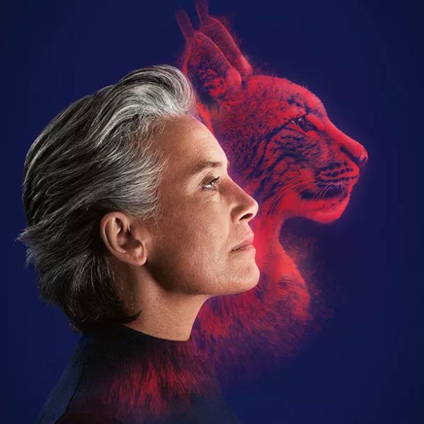 Audífonos Invisibles